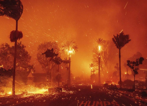 [Fotografía obtenida de: El Financiero]